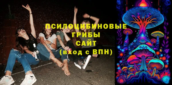 ECSTASY Майский