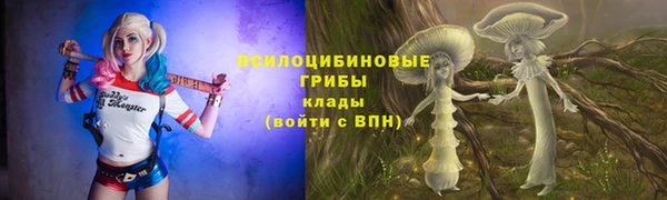 ECSTASY Майский