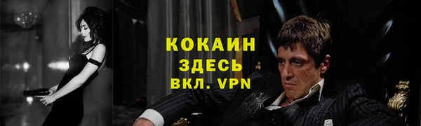 ECSTASY Майский