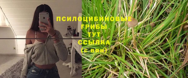 ECSTASY Майский