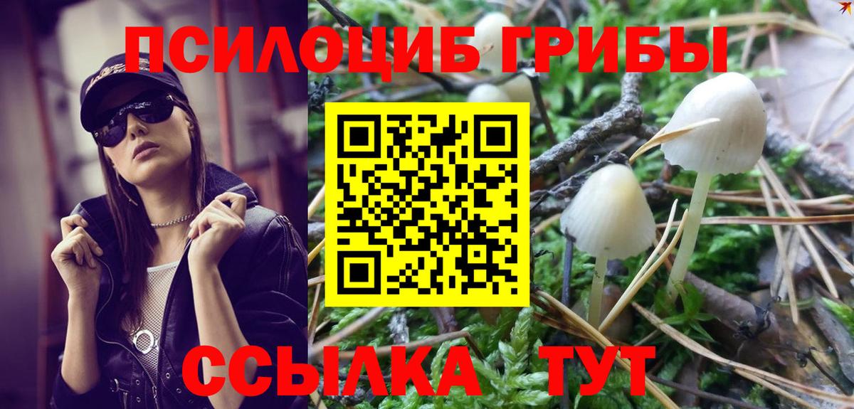 Галлюциногенные грибы Magic Shrooms Ярцево